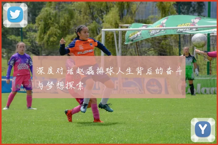 深度对话赵磊排球人生背后的奋斗与梦想探索