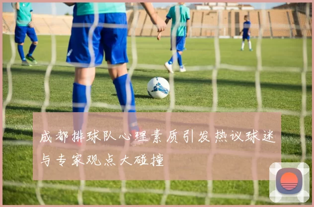 成都排球队心理素质引发热议球迷与专家观点大碰撞