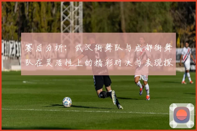 赛后分析：武汉街舞队与成都街舞队在灵活性上的精彩对决与表现探讨