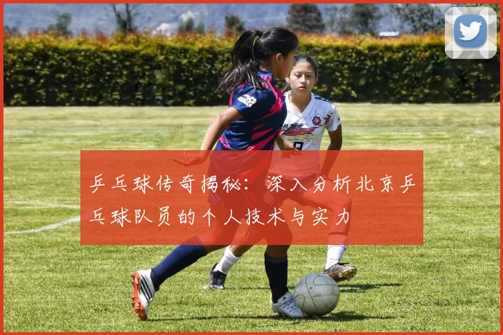 乒乓球传奇揭秘：深入分析北京乒乓球队员的个人技术与实力