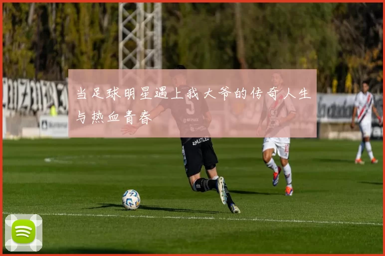 当足球明星遇上我大爷的传奇人生与热血青春