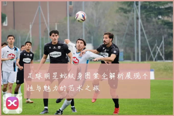 足球明星蛇纹身图案全解析展现个性与魅力的艺术之旅