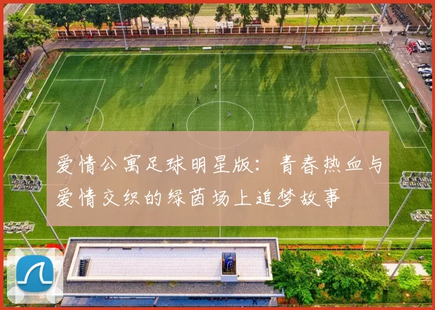 爱情公寓足球明星版：青春热血与爱情交织的绿茵场上追梦故事