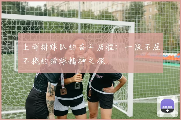 上海排球队的奋斗历程：一段不屈不挠的排球精神之旅