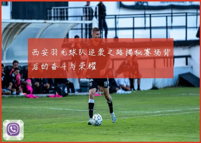 西安羽毛球队逆袭之路揭秘赛场背后的奋斗与荣耀