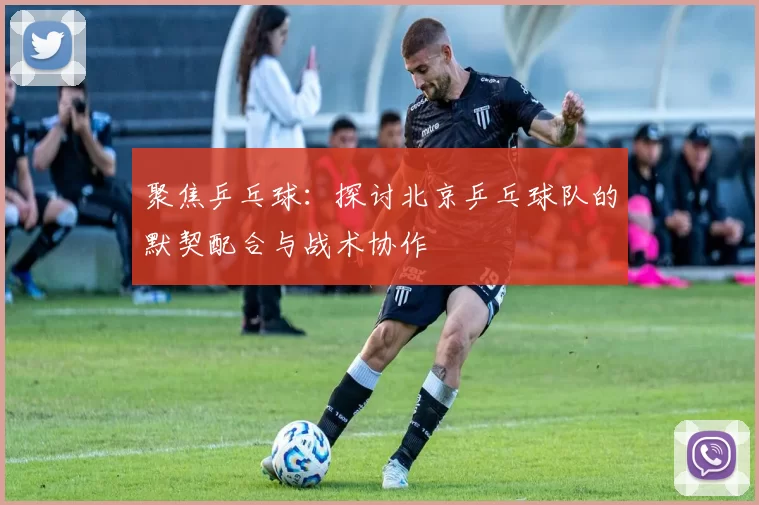 聚焦乒乓球：探讨北京乒乓球队的默契配合与战术协作