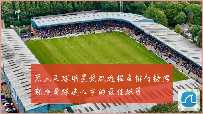 黑人足球明星受欢迎程度排行榜揭晓谁是球迷心中的最佳球员