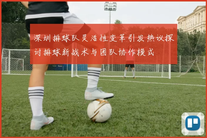 深圳排球队灵活性变革引发热议探讨排球新战术与团队协作模式