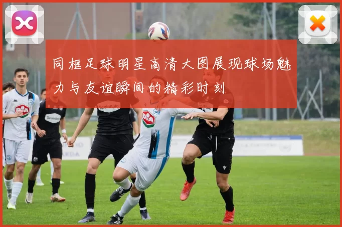 同框足球明星高清大图展现球场魅力与友谊瞬间的精彩时刻
