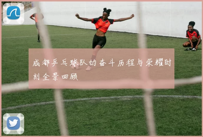 成都乒乓球队的奋斗历程与荣耀时刻全景回顾