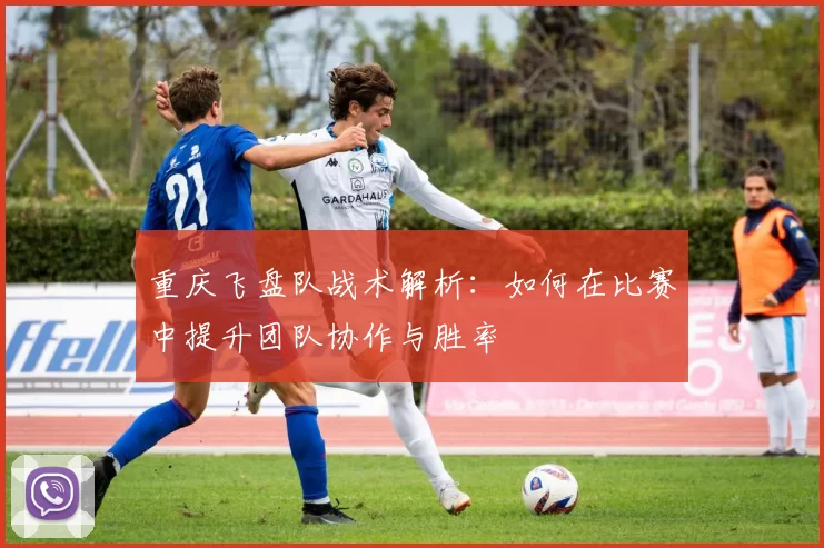 重庆飞盘队战术解析：如何在比赛中提升团队协作与胜率