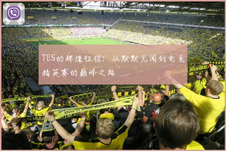 TES的辉煌征程：从默默无闻到电竞精英赛的巅峰之路