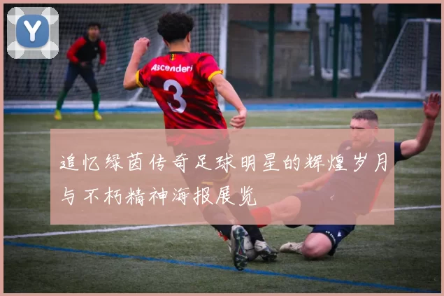 追忆绿茵传奇足球明星的辉煌岁月与不朽精神海报展览