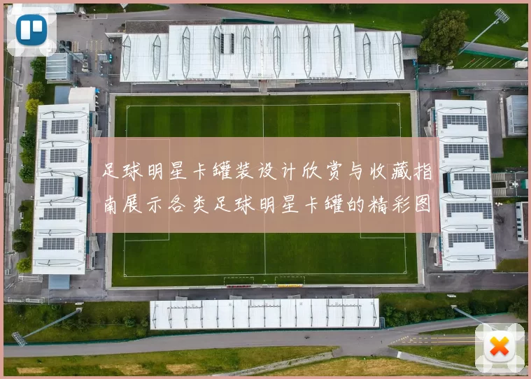 足球明星卡罐装设计欣赏与收藏指南展示各类足球明星卡罐的精彩图片