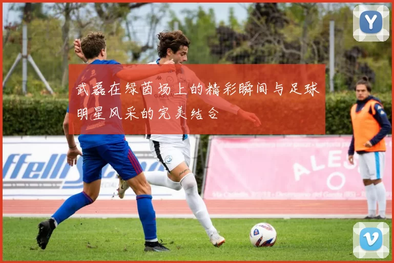 武磊在绿茵场上的精彩瞬间与足球明星风采的完美结合