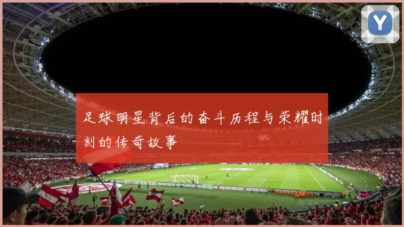 足球明星背后的奋斗历程与荣耀时刻的传奇故事