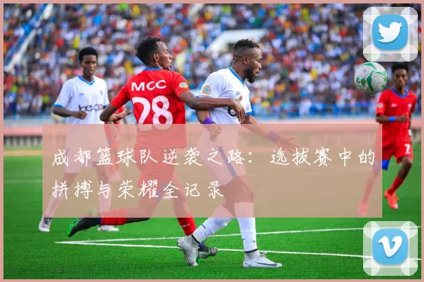 成都篮球队逆袭之路：选拔赛中的拼搏与荣耀全记录