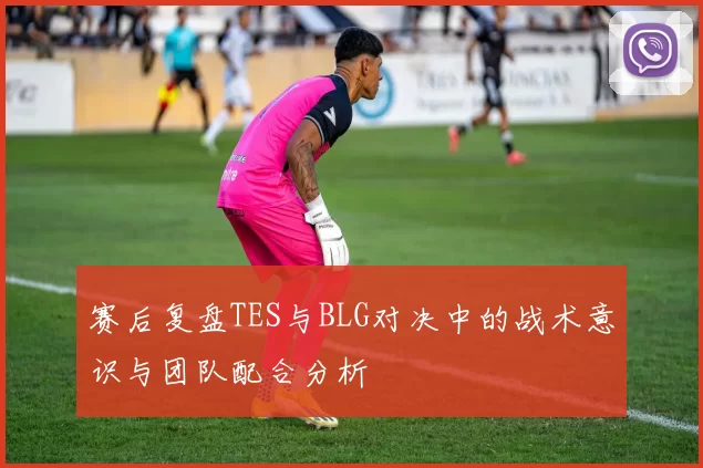 赛后复盘TES与BLG对决中的战术意识与团队配合分析