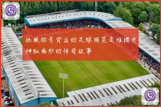 独狼称号背后的足球明星是谁揭开神秘面纱的传奇故事