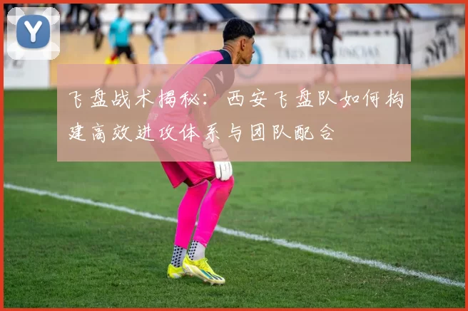 飞盘战术揭秘：西安飞盘队如何构建高效进攻体系与团队配合