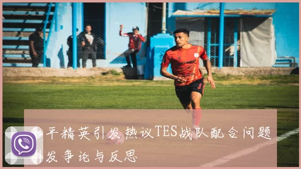 和平精英引发热议TES战队配合问题引发争论与反思