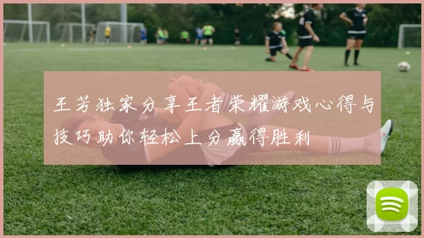 王芳独家分享王者荣耀游戏心得与技巧助你轻松上分赢得胜利