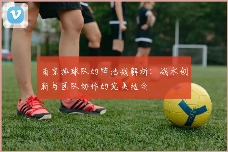 南京排球队的阵地战解析：战术创新与团队协作的完美结合