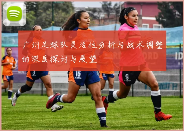广州足球队灵活性分析与战术调整的深度探讨与展望