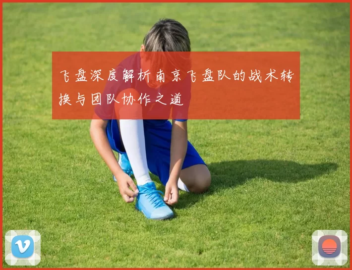 飞盘深度解析南京飞盘队的战术转换与团队协作之道