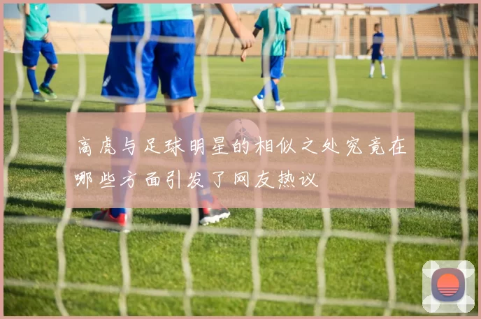高虎与足球明星的相似之处究竟在哪些方面引发了网友热议