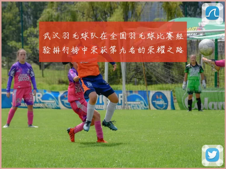 武汉羽毛球队在全国羽毛球比赛经验排行榜中荣获第九名的荣耀之路