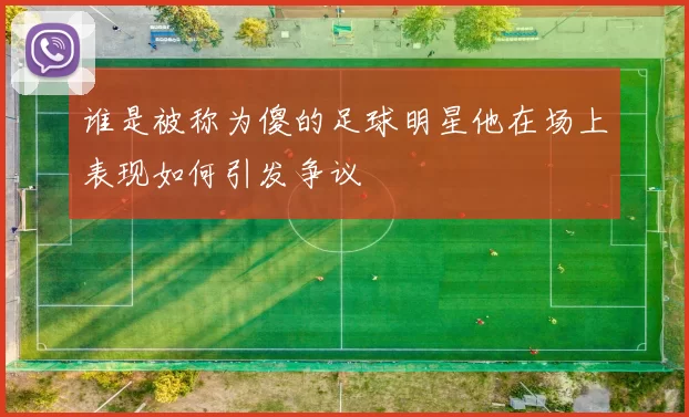 谁是被称为傻的足球明星他在场上表现如何引发争议